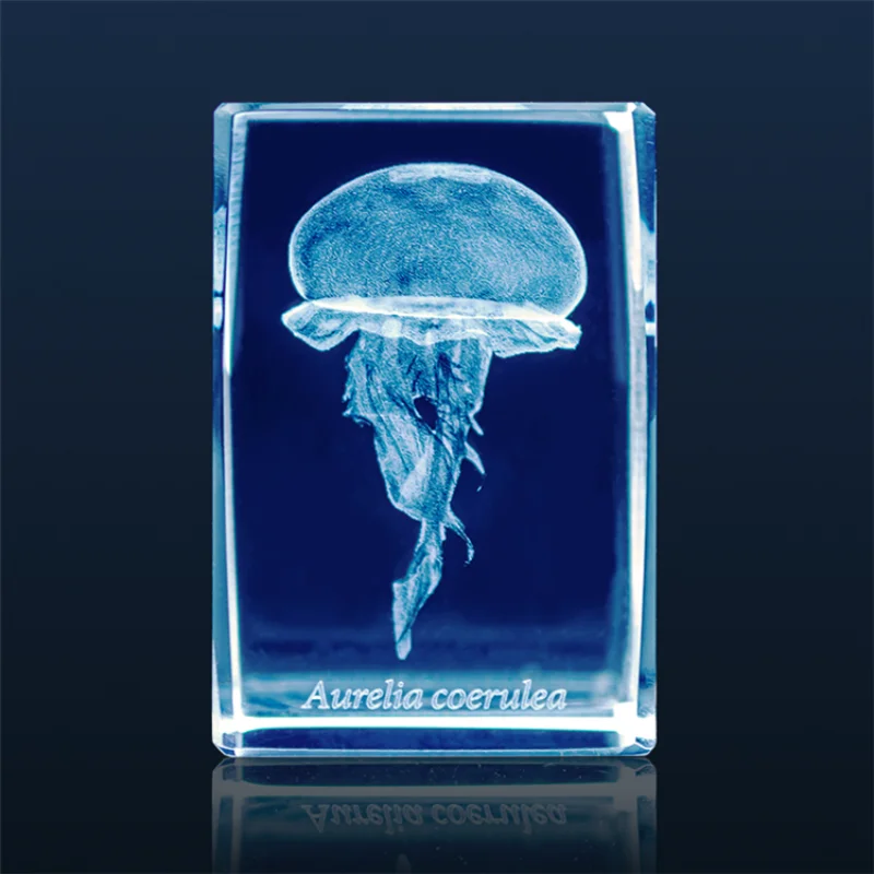 Japan Gashapon Jellyfish 3D Cr - Aquarium Fish Keeping review and price