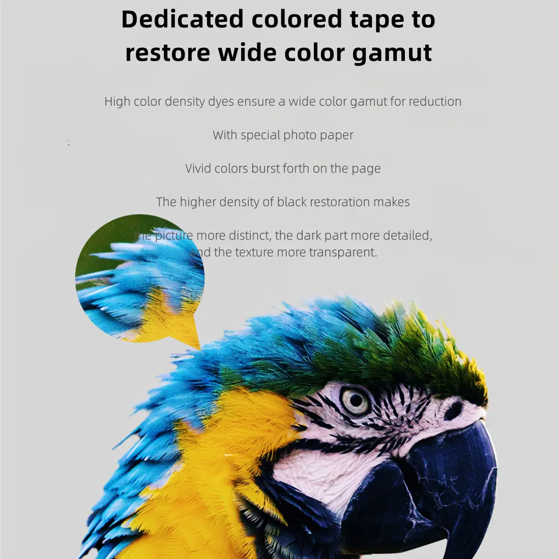 MIjia Photo Printer Dedicated  - Aquarium Xiaomi review and price