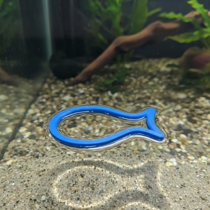Feeding Rings for Fish Tanks 2 - Aquarium Fish Keeping review and price