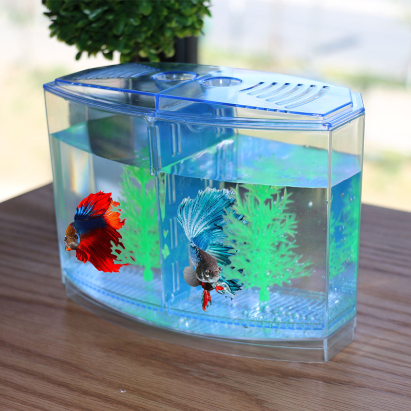 Novel and Funny Toy Creative F - Aquarium Fish Keeping review and price