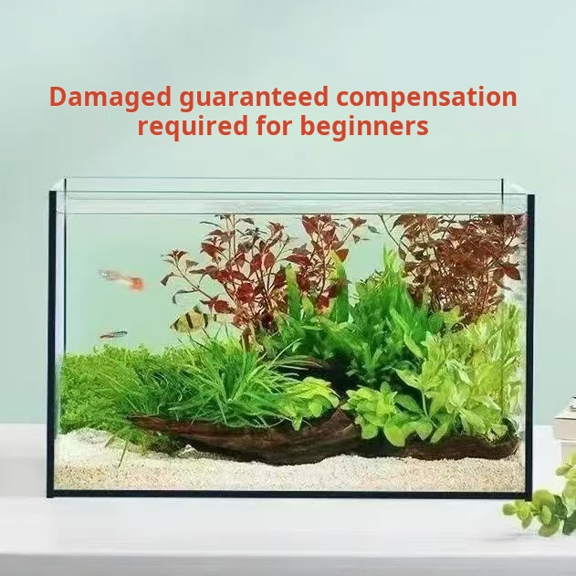 Ultra Clear Large Rectangle Gl - Aquarium Fish Keeping review and price
