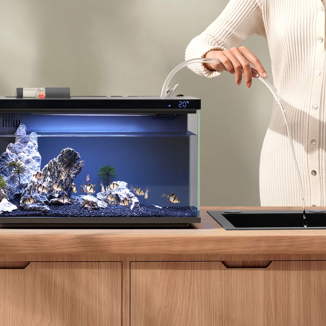 Xiaomi Mijia Smart Fish Tank M - Aquarium Xiaomi review and price