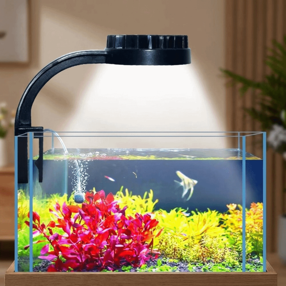 High Brightness Aquarium Clip  - Aquarium Fish Keeping review and price