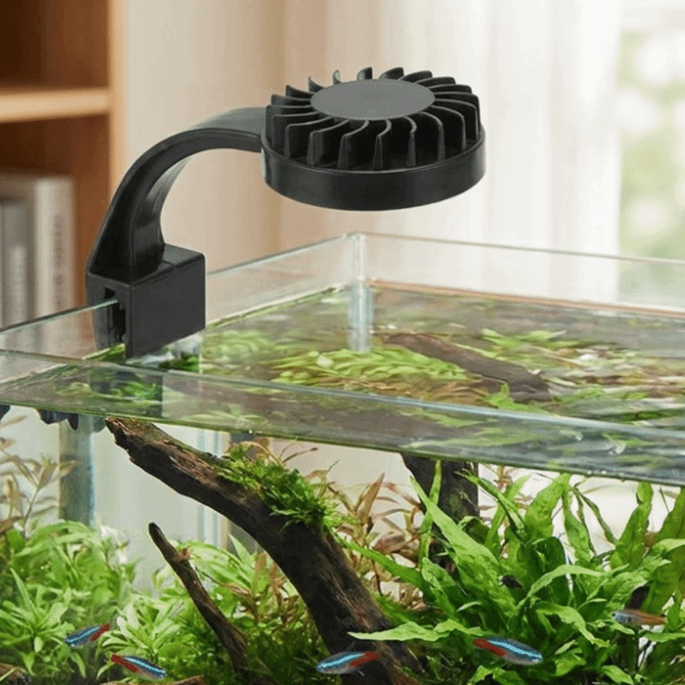 High Brightness Aquarium Clip  - Aquarium Fish Keeping review and price