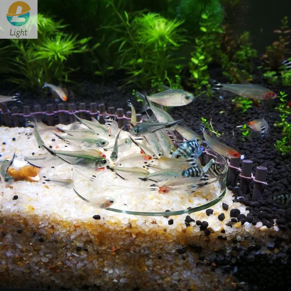 Aquarium Feeder Bowls Dish Cle - Aquarium Fish Keeping review and price