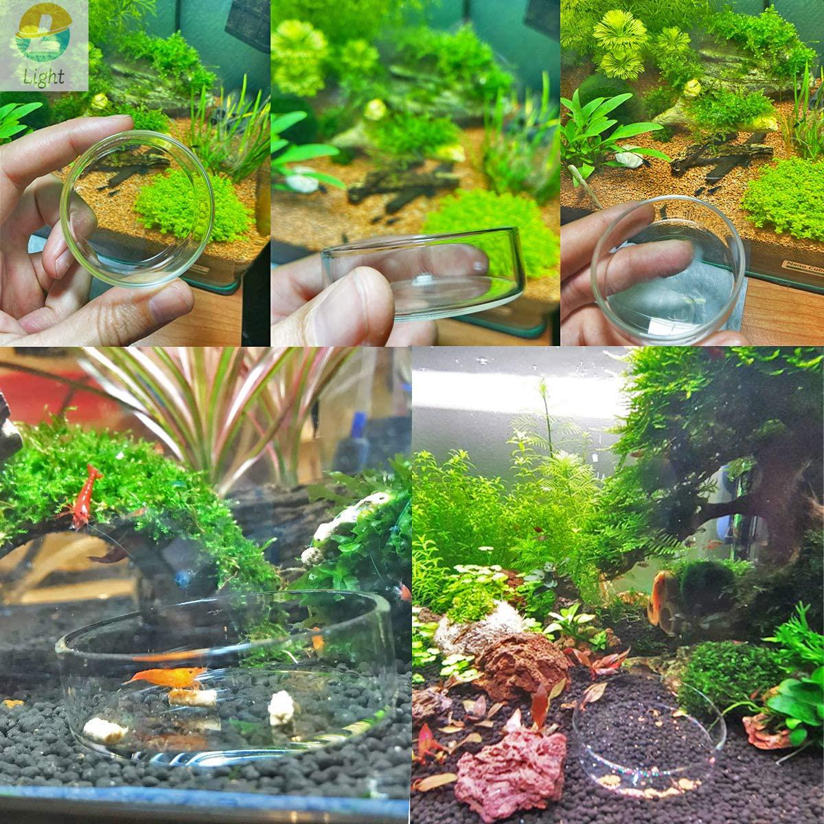 Aquarium Feeder Bowls Dish Cle - Aquarium Fish Keeping review and price